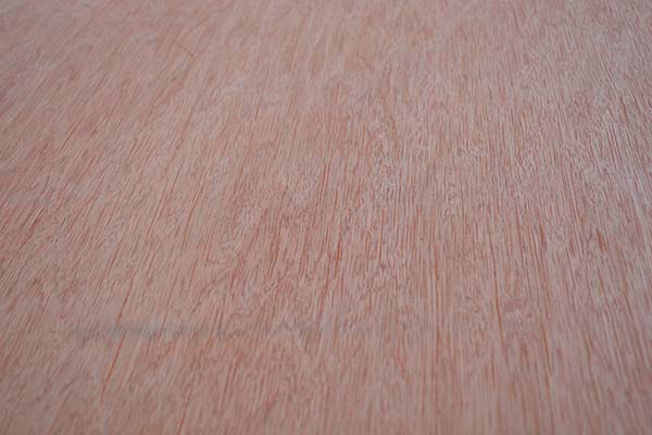 ����Ȼ�ߙn�����Ͷ��Ӱ�