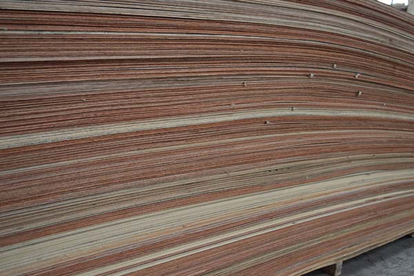 �����Ͷ��Ӱ����D̎