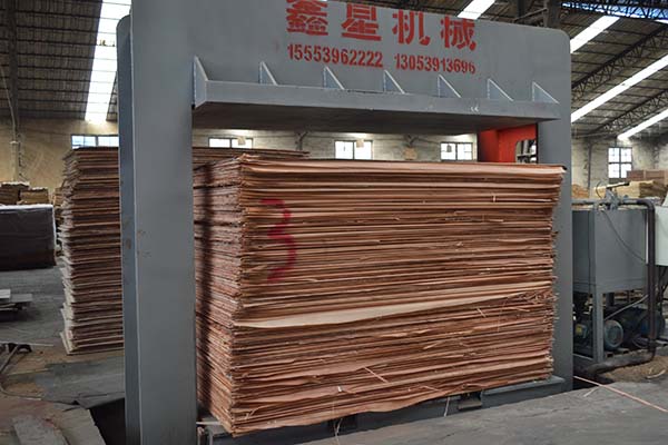 ���γ��Ͷ��Ӱ�ቺ�C