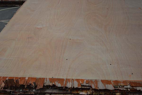 ���Ӱ����a��