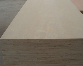 ���γ��Ͷ��Ӱ�