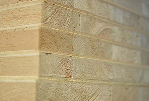 ��ľ���B��DƬ