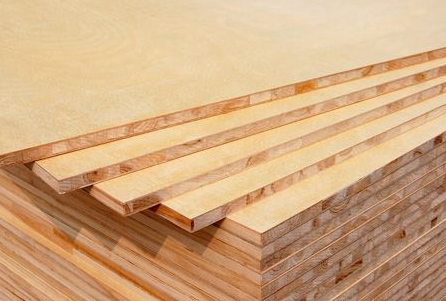 ɽ�|��ľ���B��