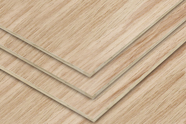 ���Ӱ����a�S�ҽ�B����b�e�r��Ҫ���յķ���