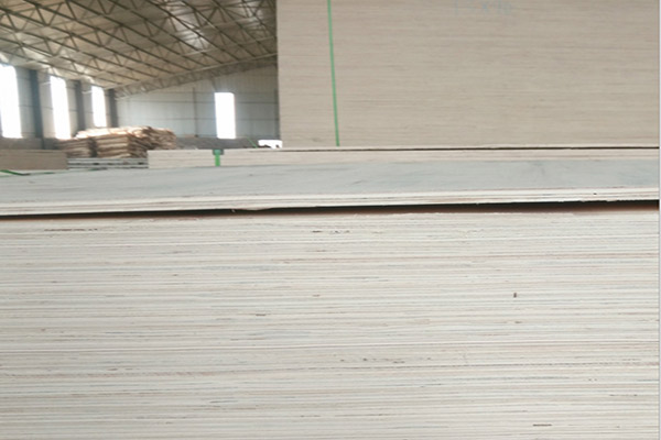 ��ĵ��xȡҲ�Ǳ��^����Ķ��Ӱ�S���������|(zh��)����(l��i)�����