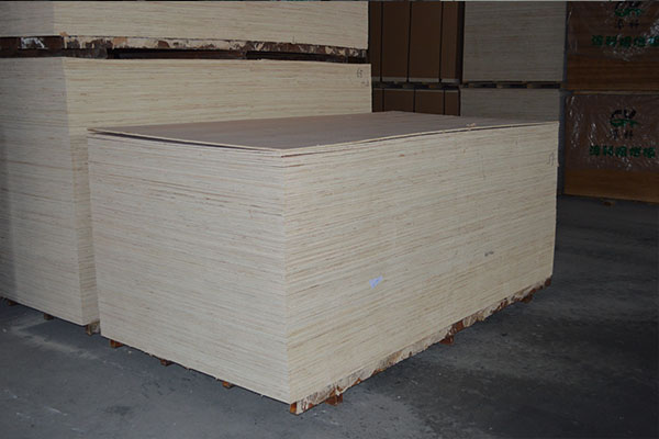 ���γ��Ͷ��Ӱ�