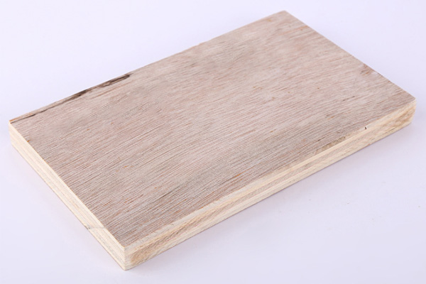 ��ͥ�b�ޕr(sh��)ʹ����ȼ������б�Ҫ��