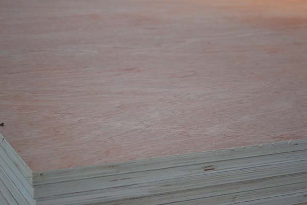 ���Ӱ��ڃ���rҪ���]��Щ���}��