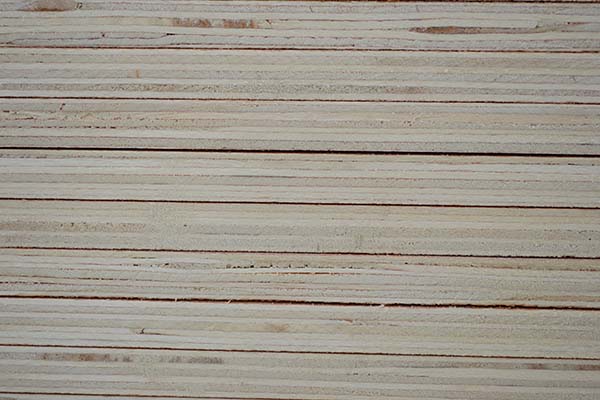 ���Ӱ������Ҿߵă���