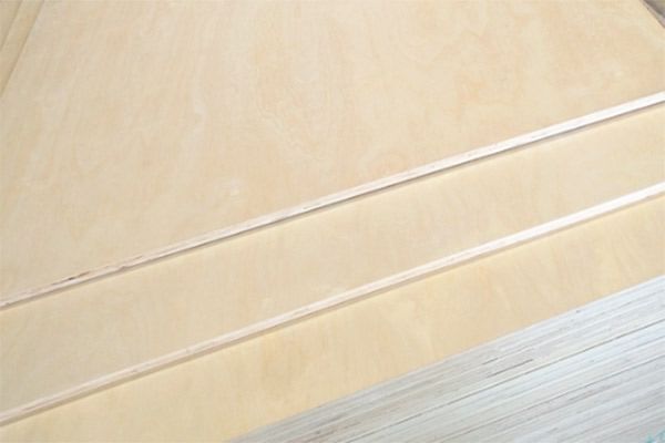 ���Ӱ�Ĺι��c�B�o̎��