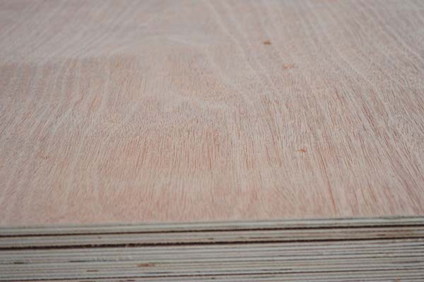 ���Ӱ��ڌӉ��^���Е����Fʲô���}