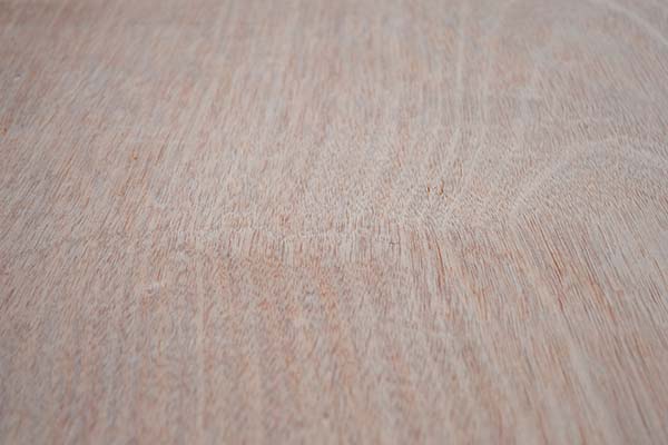 ���Ӱ�ˢ����ע��ļ���