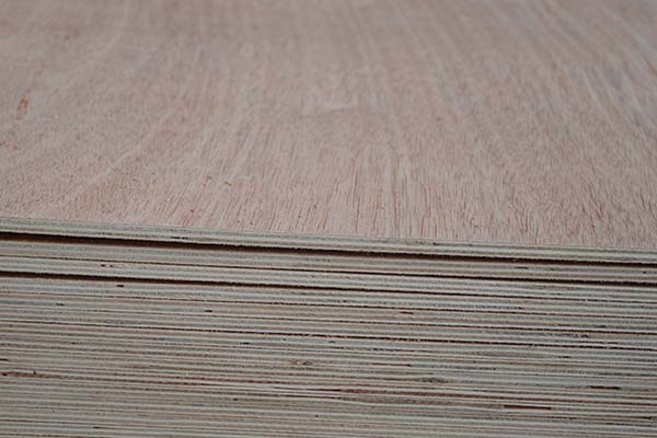 �̴��������x���|���Ӱ�