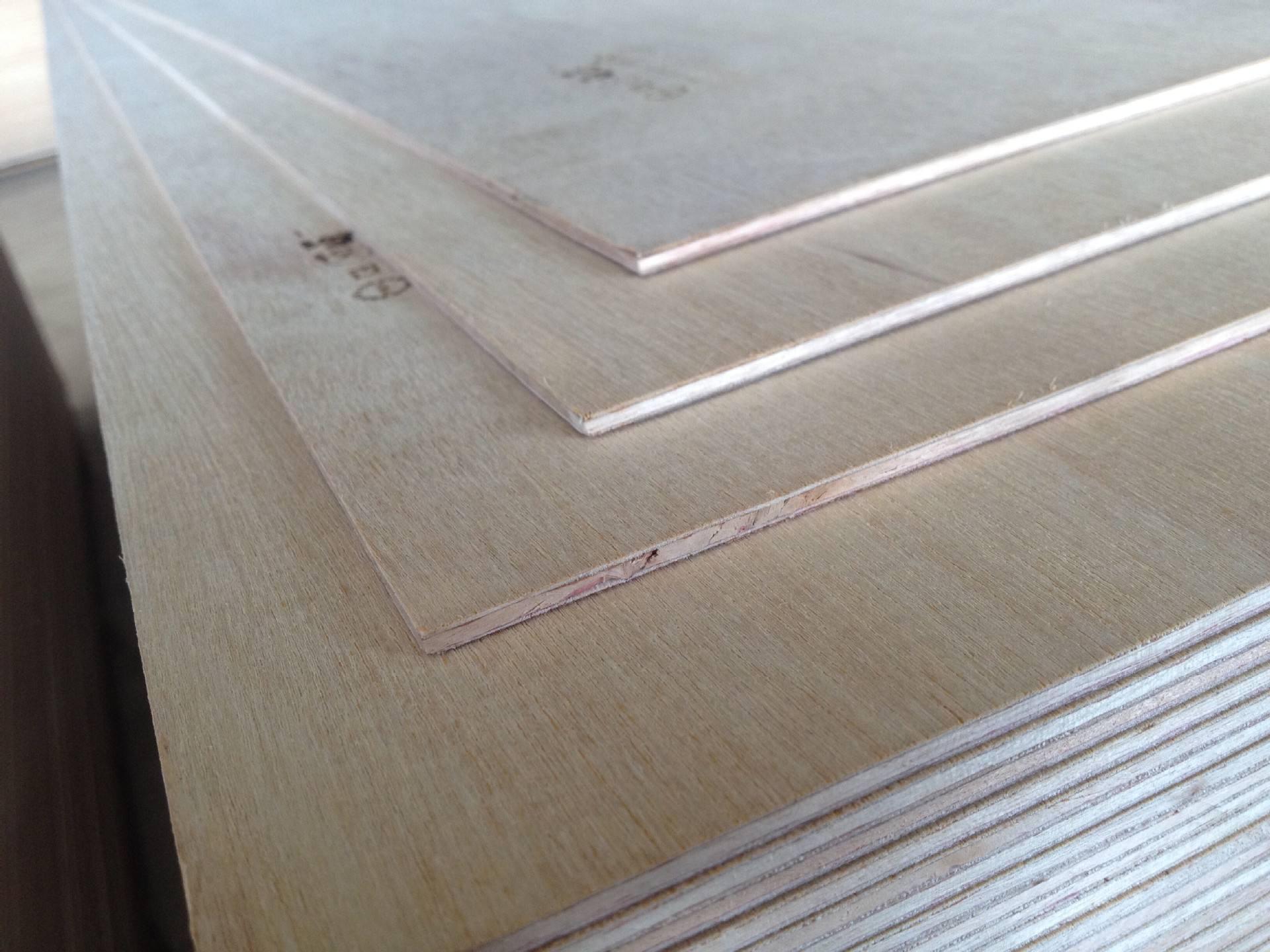 ���ϰ�S�ҽ������ϰ���α��B