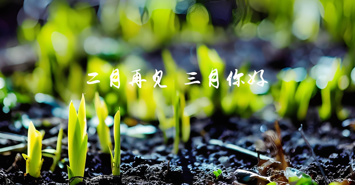 ���ϰ�S��|��ʢľ�I�gӭ�V��͑���ԃ��